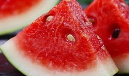 全单位吃瓜,欢乐时光尽在此刻