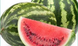 痛风可以吃枕头瓜吗,枕头瓜的食用指南