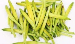 拉稀可以吃葫芦瓜,缓解拉稀的天然良方