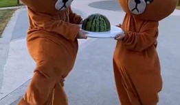 吃瓜小熊捧花,一场甜蜜的夏日浪漫邂逅