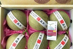 隆鼻后吃蜜瓜好吗,适宜还是禁忌？