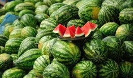 西瓜城吃瓜,一场夏日狂欢的味蕾之旅
