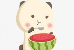 小熊吃瓜符号,趣味横生的夏日时光