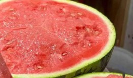 天凉了还吃瓜,天凉吃瓜的悠闲时光”