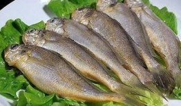 吃瓜小黄鱼,揭秘吃瓜小黄鱼的美食传奇