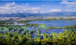 西昌邛海吃瓜视频,一场吃瓜盛宴的欢乐时光