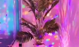 吃瓜紫色氛围灯,一场视觉与味蕾的盛宴