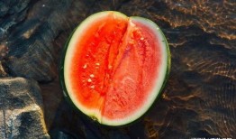 天凉了还吃瓜,天凉吃瓜的悠闲时光”