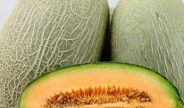 吃哈密瓜过敏的人,哈密瓜过敏者的饮食挑战与生活智慧