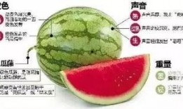 微信吃瓜2020,盘点那些年我们一起“吃瓜”的日子