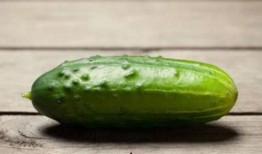 718稳定吃瓜,揭秘网络热议背后的真相与笑料