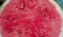 在医院的吃瓜,揭秘病房里的生活百态