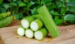 吃瓜丝瓜网,带你走进网络娱乐的奇幻世界