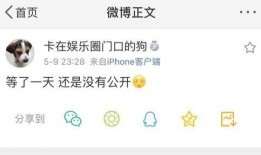 吃瓜爆料群1144,一场网络舆论的风暴