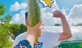 往期网红吃瓜,揭秘网红吃瓜背后的真相与笑料