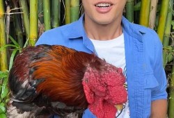 老人吃瓜挑战,揭秘老人吃瓜的趣味瞬间