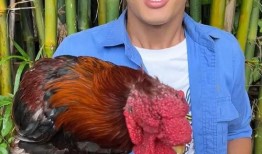 老人吃瓜挑战,揭秘老人吃瓜的趣味瞬间