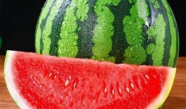 麒麟瓜做什么吃的,解锁夏日清新美味新主张