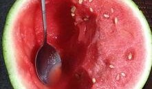 818吃瓜网西瓜视频,揭秘娱乐圈幕后故事