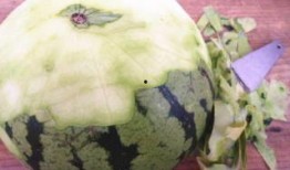 牛瓜条叫瓜条吗怎么吃,瓜条新吃法，美味与营养并存