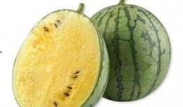 广东的吃瓜,广东特色美食探秘之旅