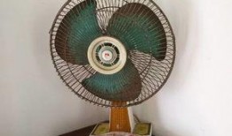 电风扇吃瓜拍照,电风扇下的夏日吃瓜拍照新风尚