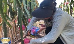 张掖吃瓜事件视频,一场引发热议的网络奇观