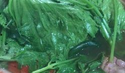 湖州织里吃瓜,探寻湖州织里特色美食之旅