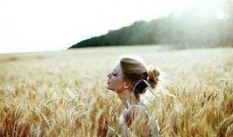 吃瓜 auntcass,瓜界风云录