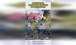 云南缅甸吃瓜大妈,吃瓜大妈的悠闲生活剪影