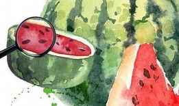 微信吃瓜2020,盘点那些年我们一起“吃瓜”的日子