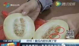 随机吃瓜24,揭秘娱乐圈背后的秘密与真相