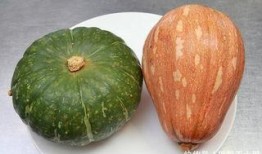 吃瓜美容养颜图片,美丽肌肤的秘密武器——吃瓜美容养颜大揭秘