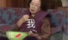 系统吃瓜合集,盘点那些令人捧腹的瓜田奇闻