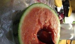 在医院的吃瓜,揭秘病房里的生活百态