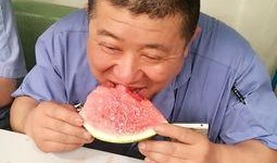 静静地吃瓜壁纸,壁纸映衬下的悠闲时光