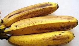 今日吃瓜不吐香蕉皮百度,不吐香蕉皮，轻松应对娱乐圈风云