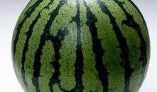 吃瓜吃的是西瓜吗图片,揭秘“吃瓜”背后的西瓜之谜