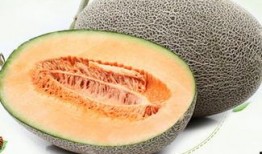 哈密瓜吃不吃种,吃还是不吃，这是一个问题