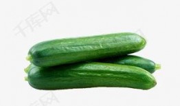 your pour免费吃瓜,畅享夏日清凉盛宴