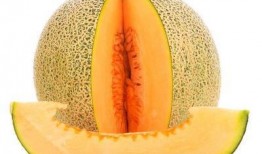 明浩吃哈密瓜,明浩畅享哈密瓜美味时光