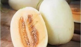 老板瓜可以怎么吃