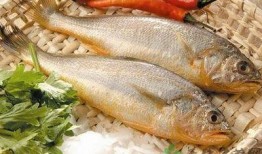 吃瓜小黄鱼,揭秘吃瓜小黄鱼的美食传奇