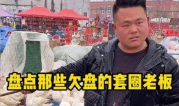 套圈盘老板吃瓜,揭秘圈圈乐背后的秘密