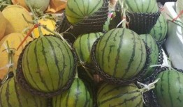 一年吃瓜,一年瓜事大盘点