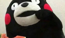 网络上可以吃瓜,揭秘热门事件背后的真相与笑料