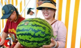 欢乐吃瓜,揭秘娱乐圈幕后故事